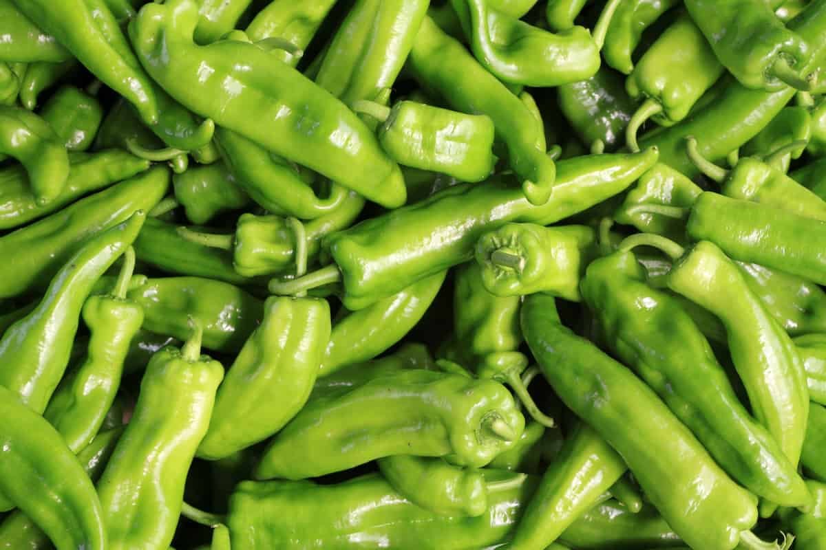 Green Chili Peppers (Big) 250 gram - Direct from farm to consumer